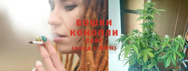 PSILOCYBIN Киреевск