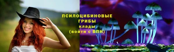 стафф Карталы