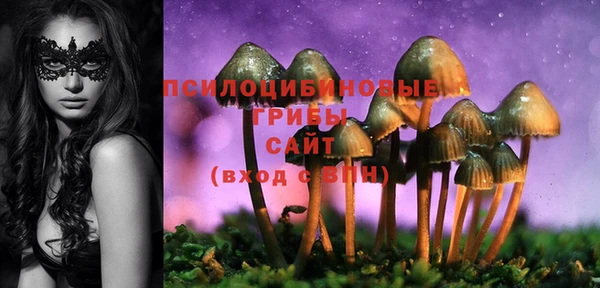 экстази Касимов